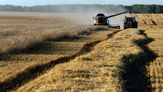 Africa Beyond Russia's Grains Partnerships