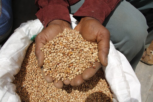 IITA Moves To Meet High Demand For Soybean In Nigeria – The News Chronicle