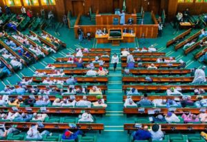 Reps Descend Into Chaos as Lawmaker Seeks Tinubu's Appearance Over Budget Delays
