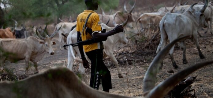 Suspected Herdsmen Kill Tiv Leader, Abduct Others in Nasarawa
