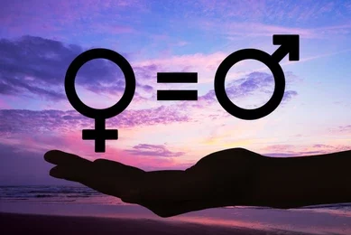 Advancing Gender Equity: The Role of the Plateau State Gender and Equal Opportunities Commission