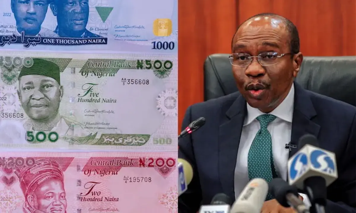 New Naira Notes