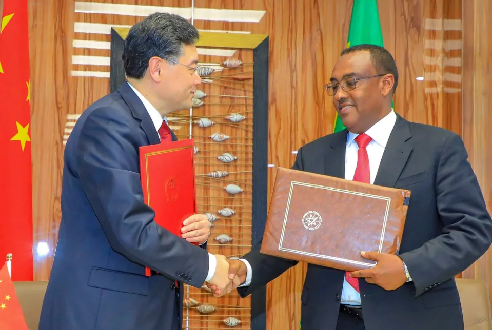 Qin Gang and Demeke Mekonnen