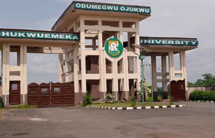 Odumegwu Ojukwu University