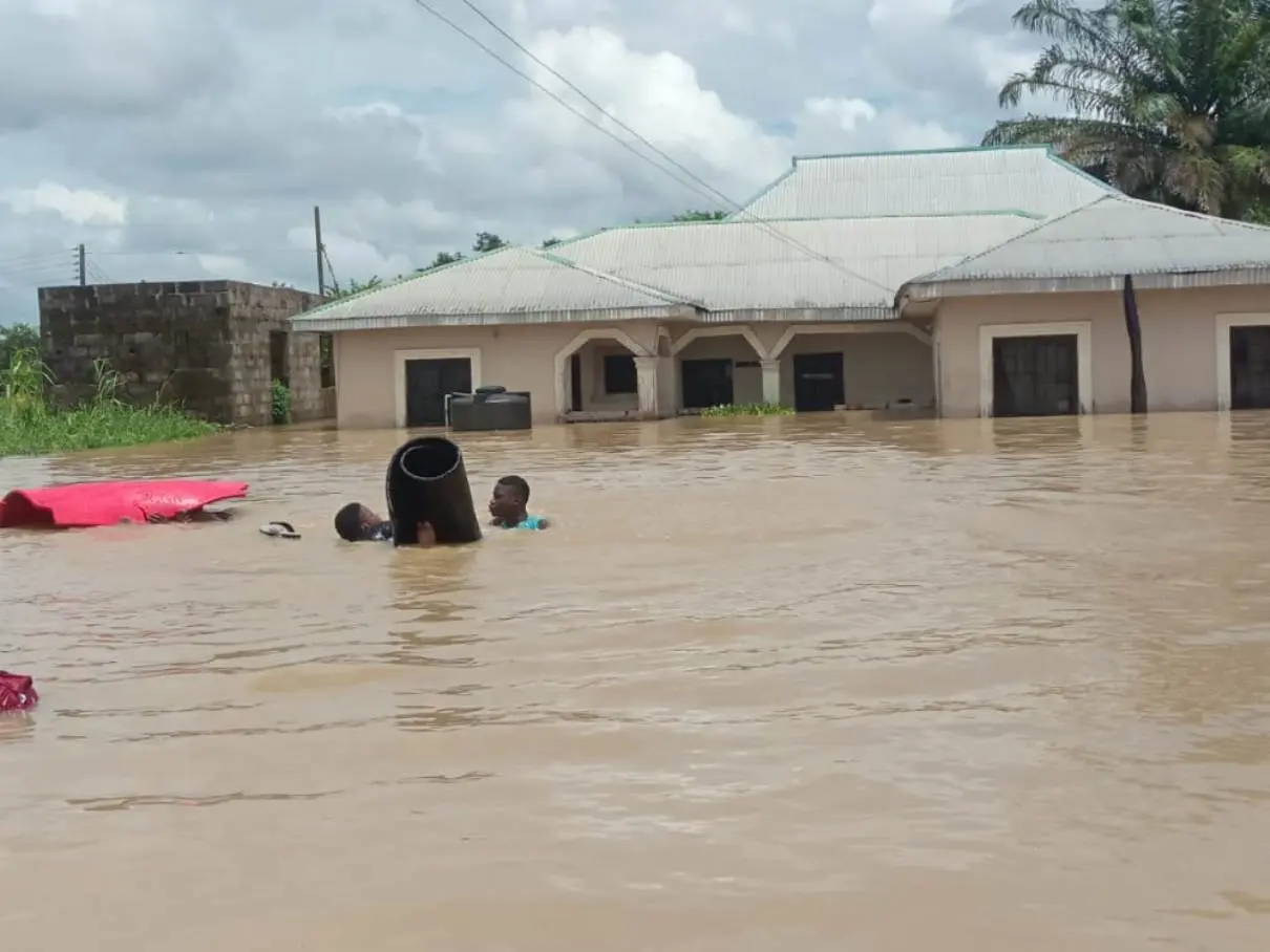 Panic in Borno as flood hits popular Zoo