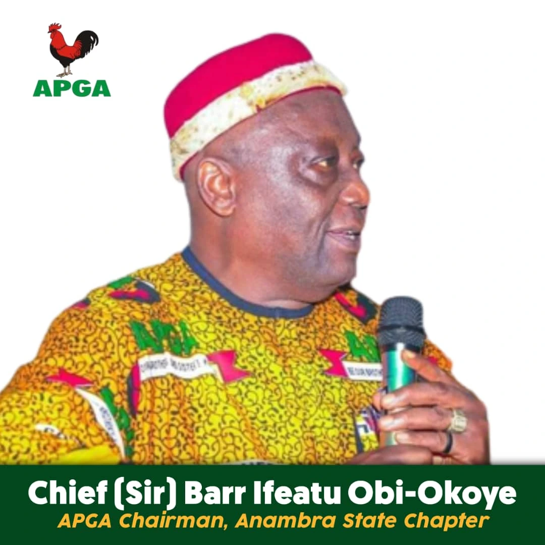 Anambra APGA Chairman