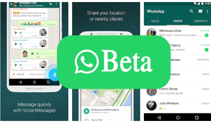 Download WhatsApp Beta