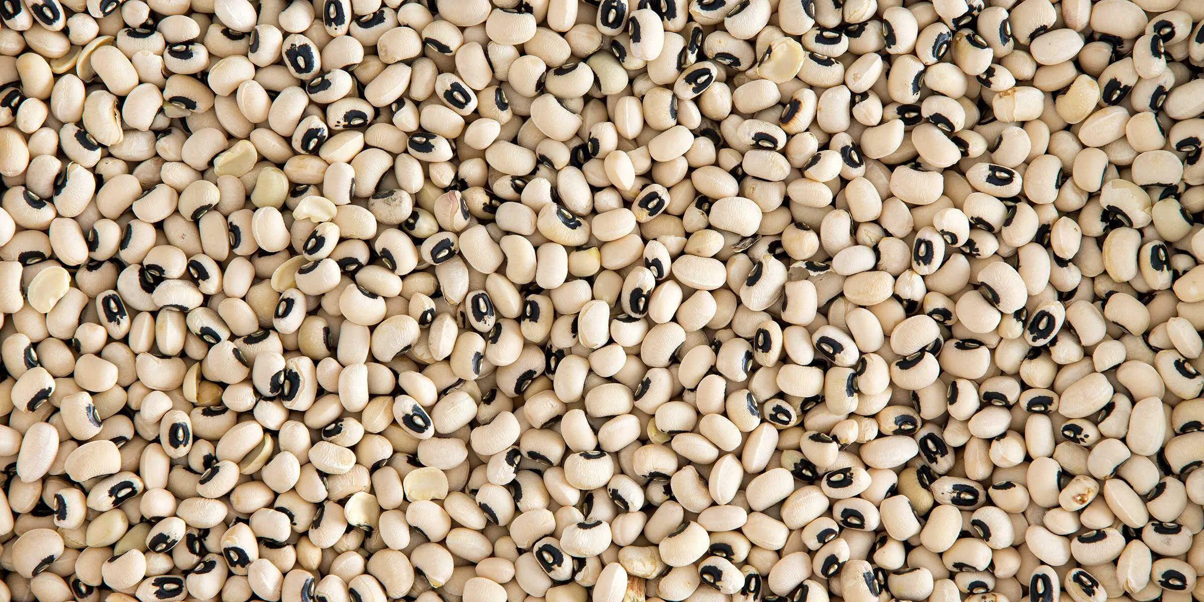 Beans