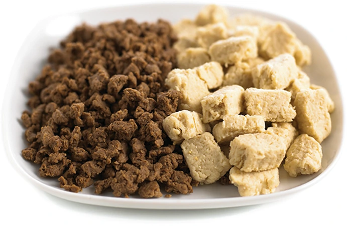Rhiza Mycoprotein meat protein