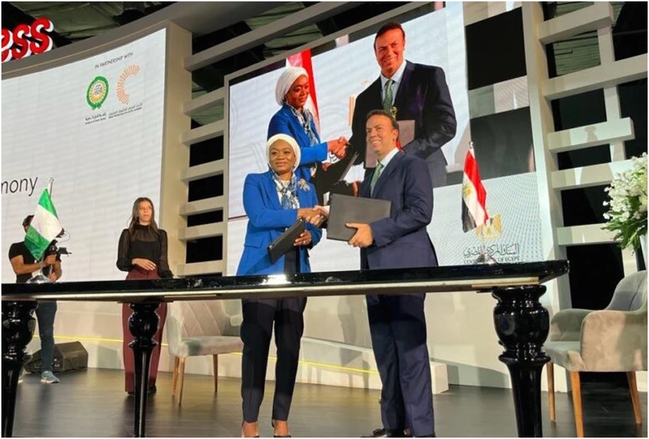 Nigeria-Egypt Fintech Bridge