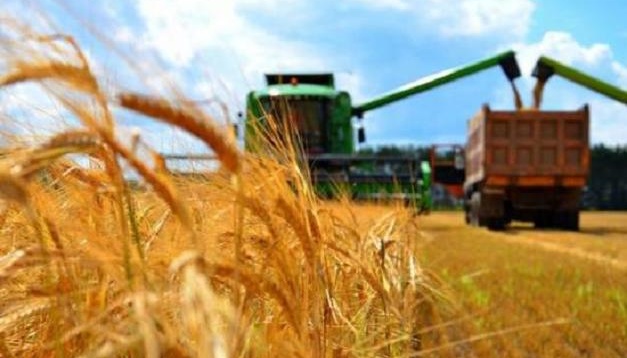 Russia Grains Africa