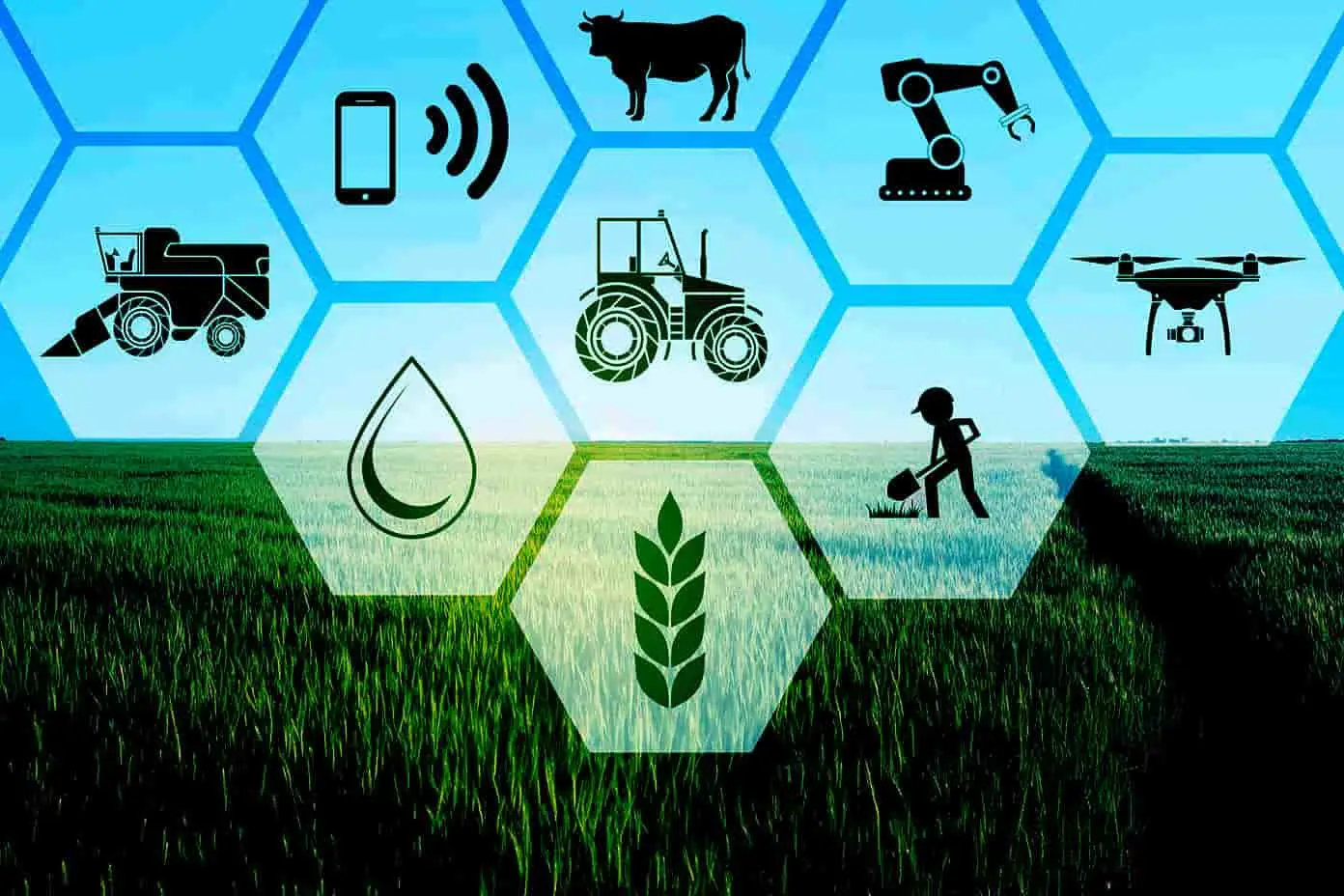 sectors in Nigeria, transforming Nigeria