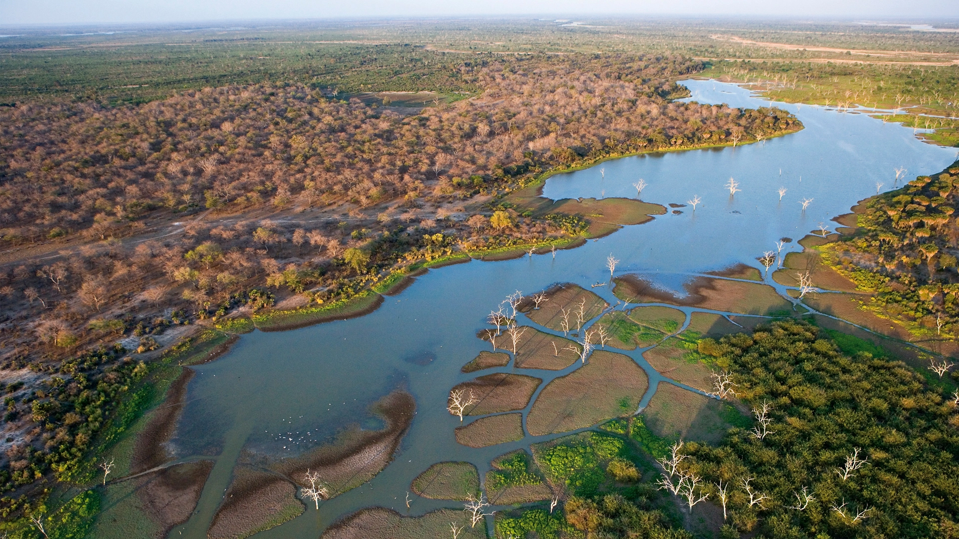 Africa, environmental features