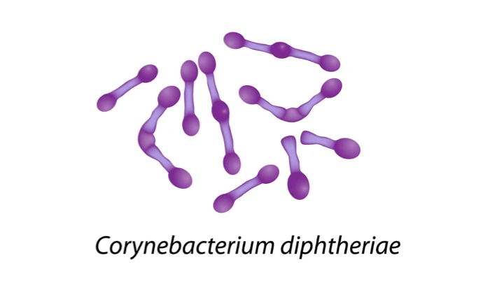 Diphtheria Prevention