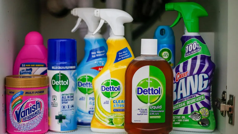 Reckitt Nigeria, grant, social entrepreneur