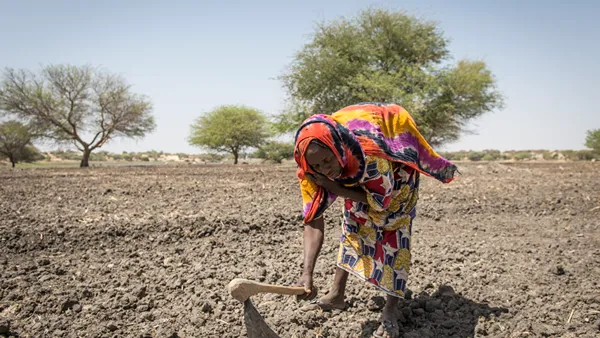 Climate change, Nigeria, poverty, food insecurity