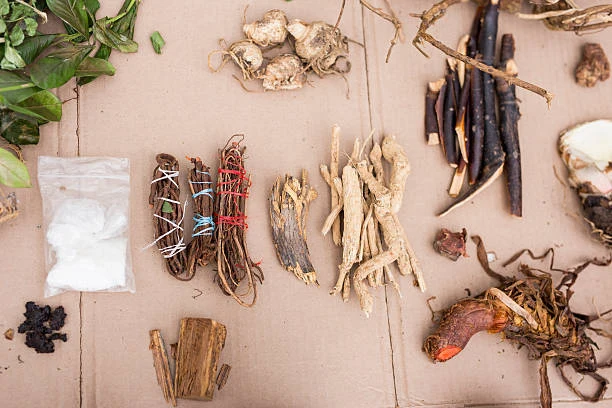 traditional medicine, WHO