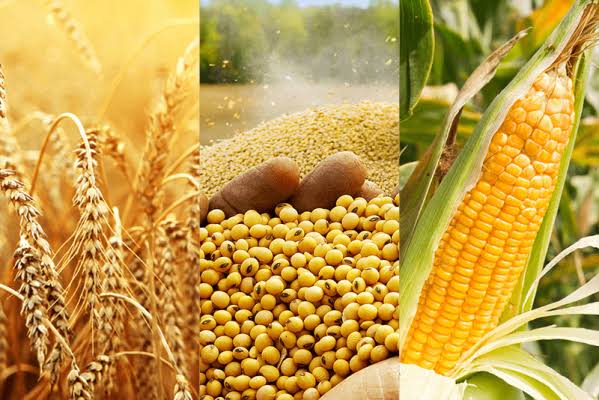 inflation in Nigeria's food prices