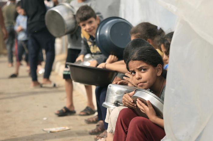 in Gaza, UN, WHO