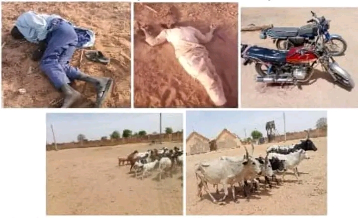 Nigerian army neutralizes terrorists, recovers arms and rustled cattle in Borno and Katsina.