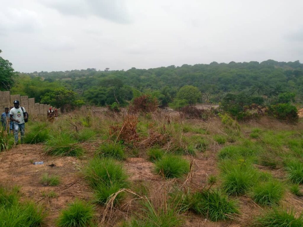 ECOWAS Delegation Visits Abandoned Anambra Central Fish Village, Raises Hope of Possible Revitalization
