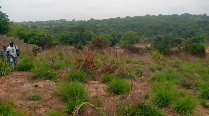 ECOWAS Delegation Visits Abandoned Anambra Central Fish Village, Raises Hope of Possible Revitalization