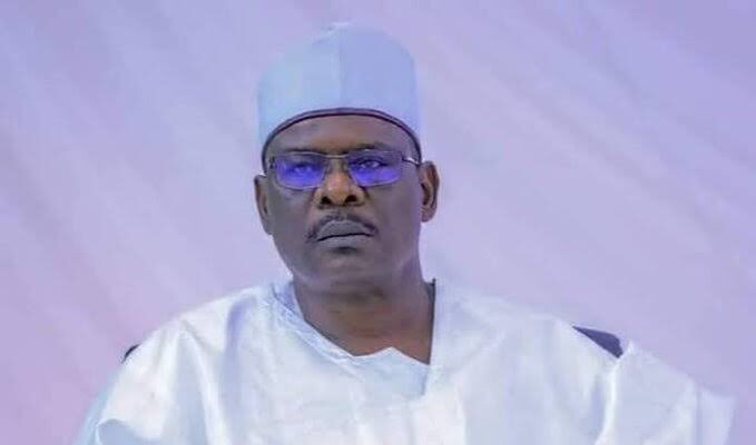 Sen. Ali Ndume: The Chief Whip Who was Whipped