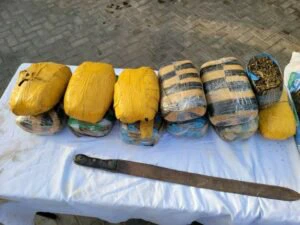 Police Apprehend Notorious Kano Drug Dealer 'Badoo' Along with 8 Accomplices