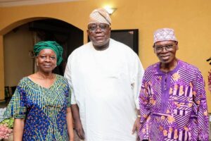 How Retired Bureaucrats Can Restore Civil Service's Glory - Tunji Olaopa