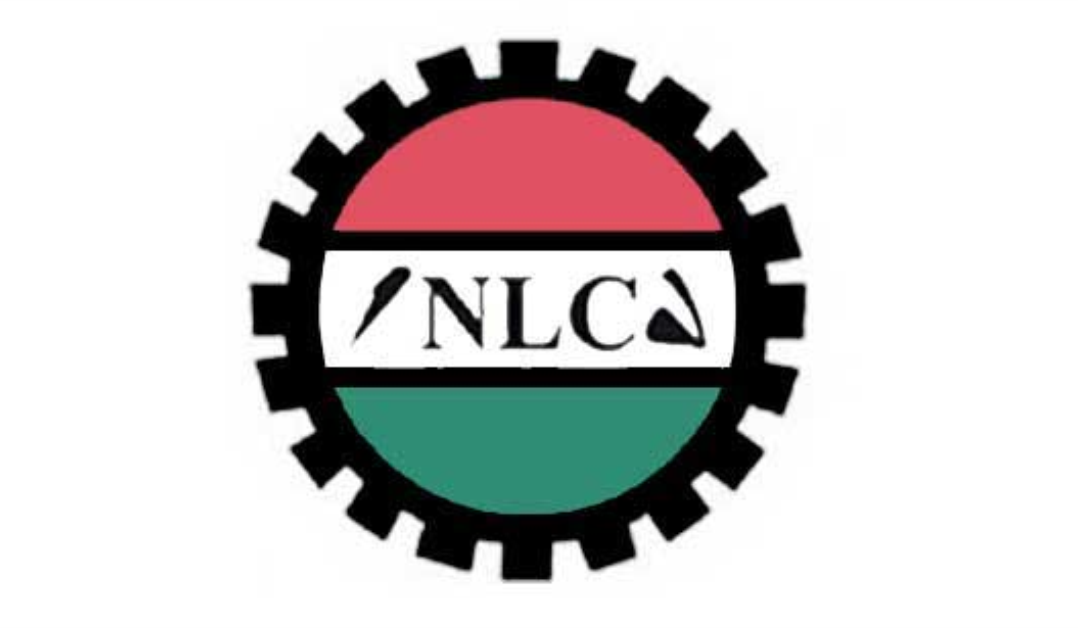 Borno NLC Commends Governor Zulum for Approving and Implementing New Minimum Wage