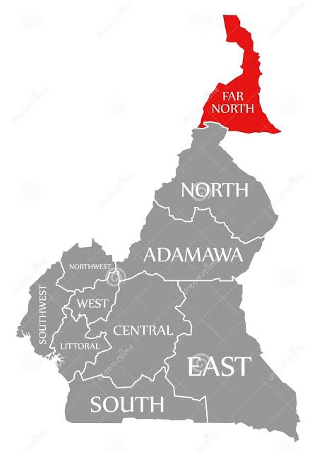Cameroon Military Rescues 300 Boko Haram Captives Near Northern Border