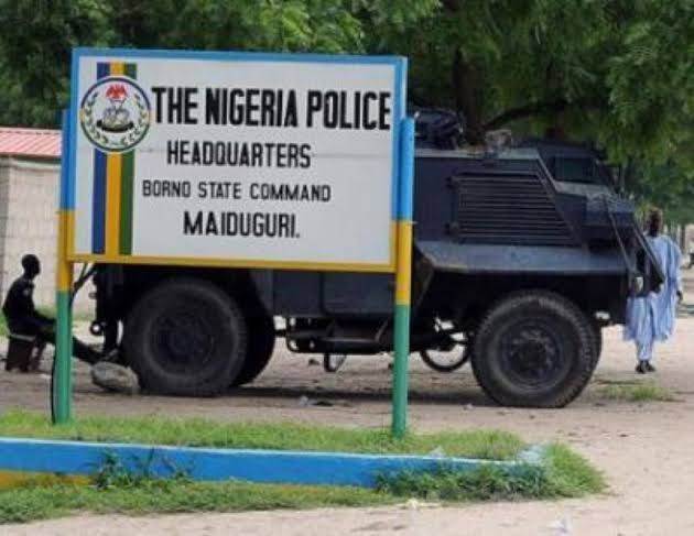 Members of fish marketers union arrested for planning a protest in Maiduguri 