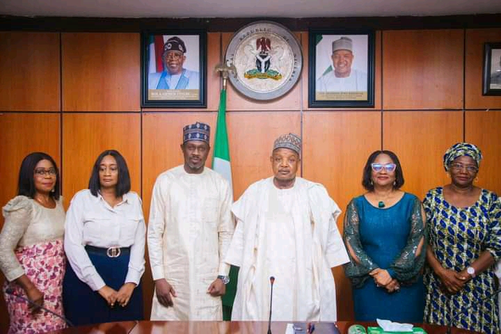 Bagudu Begs International Organisations To Help Nigerian Film Corporation 