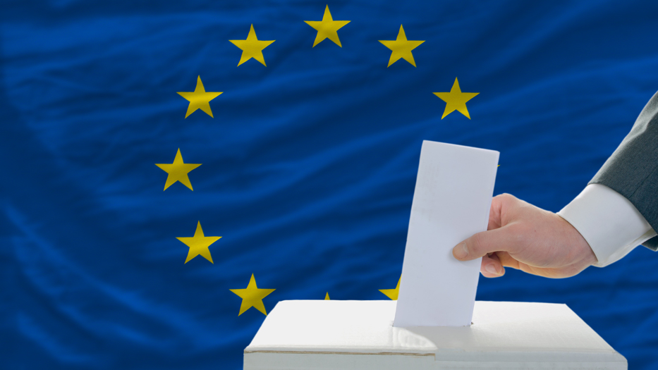 The EU Elections: The March of the Right