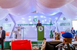 Vice President Kashim Shettima, Gombe State Governor, Inuwa Yahaya, NEDC Managing Director, Goni Alkali, Acting Governor of Borno State, Umar Kadafur, among others