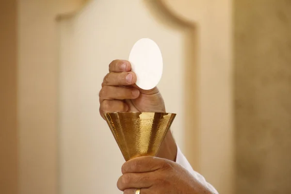 Sunday Reflection: He Is Truly Present in the Host