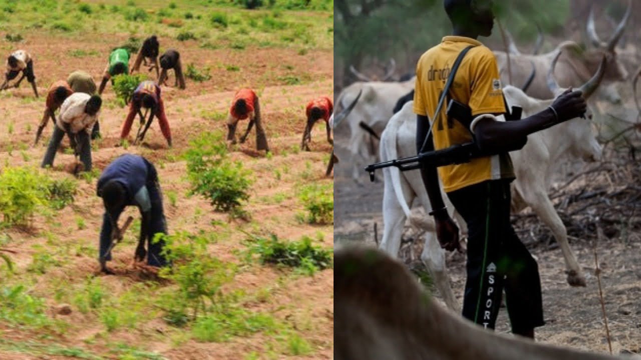 Farmers Regret Lack Of Biotech Knowledge To Address Challenges Posed By Banditry