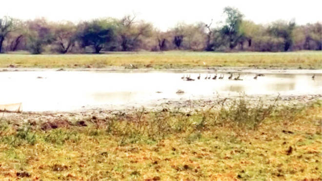 Jigawa to Transfers Management of Baturiya Game Reserve to National Park Service