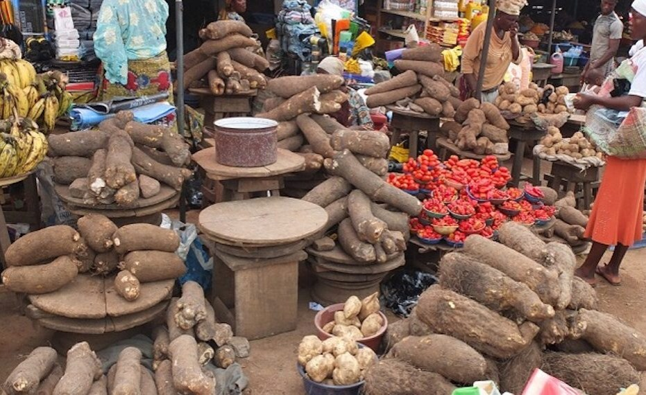 Nigerians Turn to Yam Chunks Due to the Skyrocketing Cost of Tubers