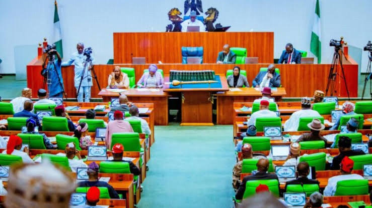 Reps to Takes Action Against Non-Democratically Elected Local Government Councils