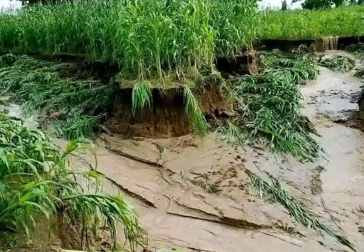 Flood in Giade, Bauchi State Destroys Farmlands; Farmers Plead for Government Assistance