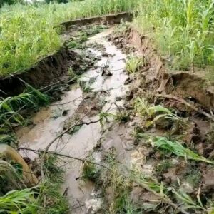 Flood in Giade, Bauchi State Destroys Farmlands; Farmers Plead for Government Assistance