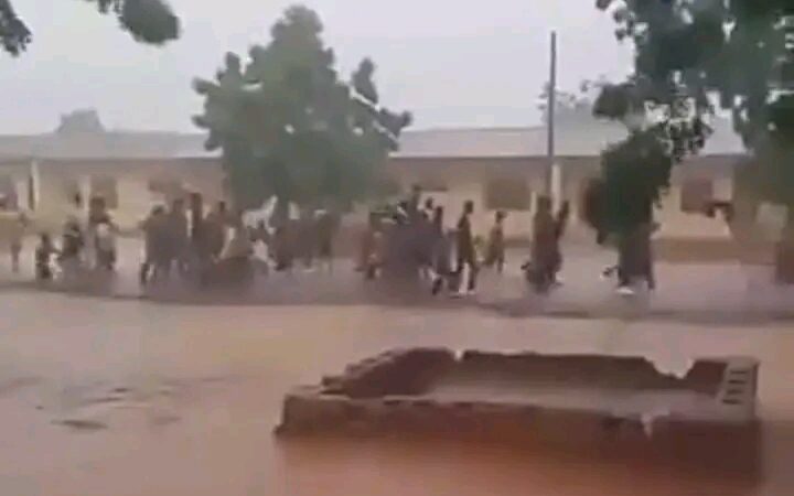 Adamawa Community Celebrates Return of Rainfall After Extended Periods of Drought