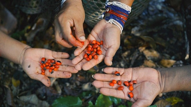 International Day of the World's Indigenous Peoples