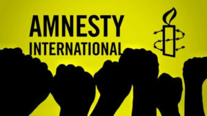 Amnesty International Urges Investigation Into Human Rights Abuses in Borno State
