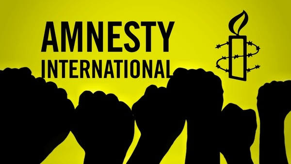 Amnesty International Urges Investigation Into Human Rights Abuses in Borno State