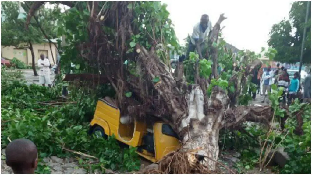 Heavy Rain and Windstorms Devastate 58 Nomadic Schools in Jigawa State