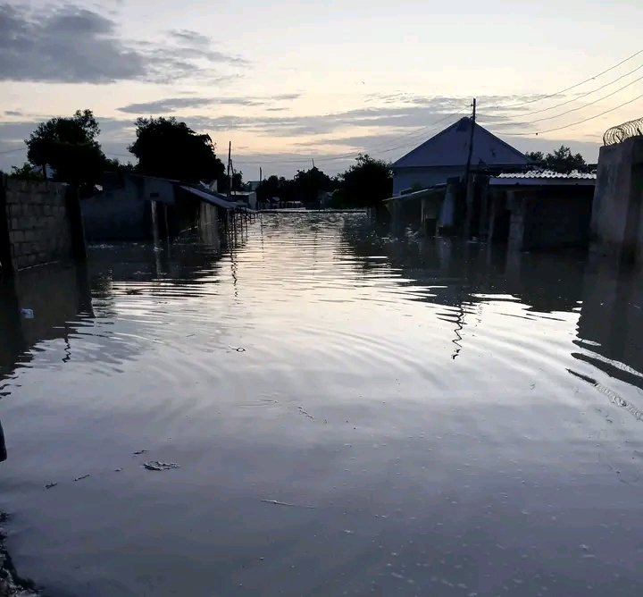 Massive Floods Ravage Maiduguri, Forcing Hundreds to Abandon Their Homes