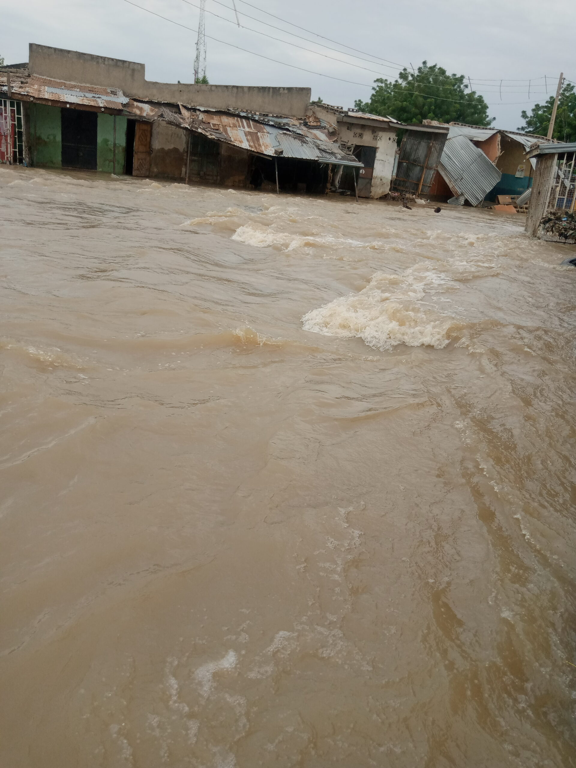 UPDATE: Custom officer dies in Maiduguri flood; day 4 of devastation leaves millions Homeless, Hundreds dead