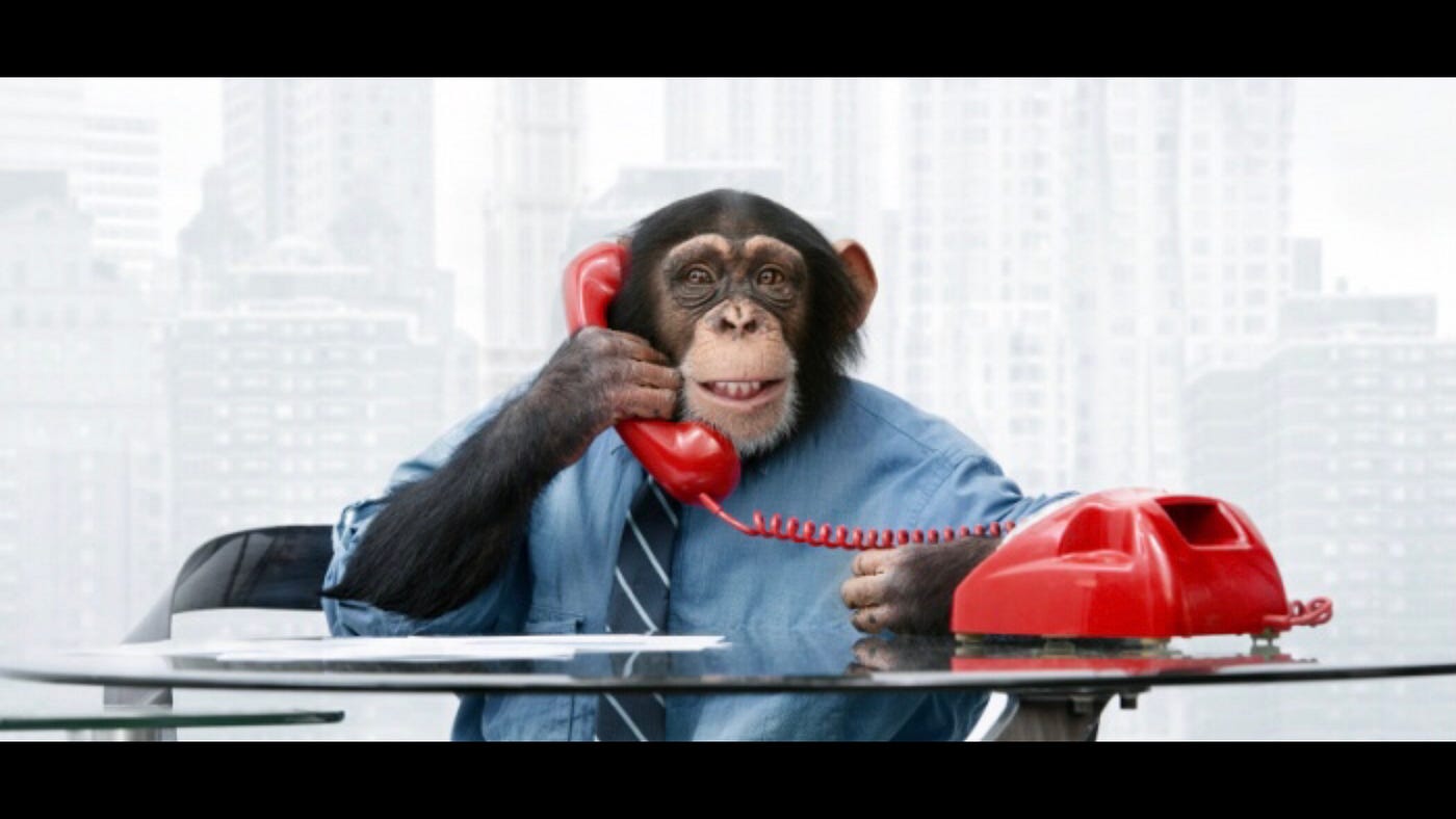 Monkey Business: How These Ape-Rooted Idioms Swing Through Modern Language